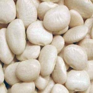 Laxmi Ranguni Val (2 LB)