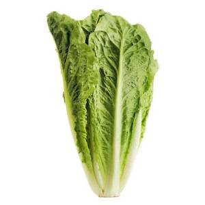 Hearts Of Romaine Lettuce (6 Ct.)
