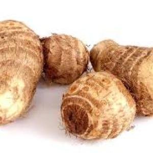 Parval 1 LB