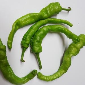 Long Hot Chilli 0.5 LB